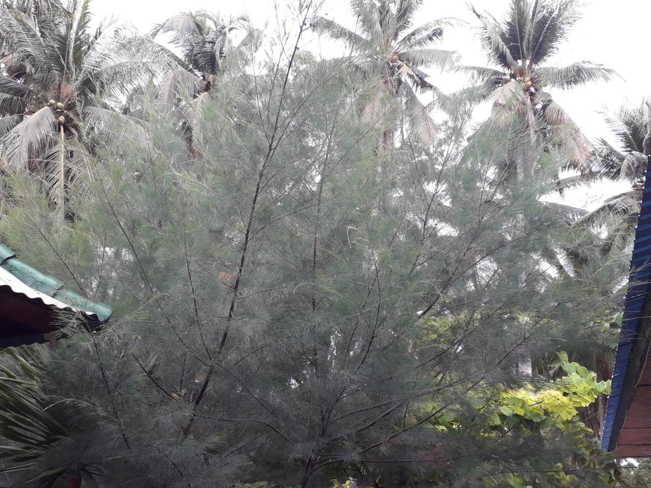 Jasmine Inn Nusa Penida Εξωτερικό φωτογραφία